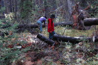 QPWS Bellthorpe Track Clearing  Oct 26